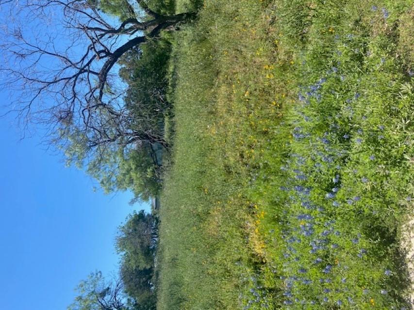 W18072 Spider Valley, Horseshoe Bay, TX 78657