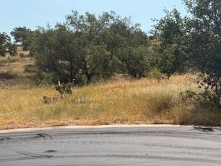 Lot W5017 Up There W, Horseshoe Bay, TX 78657