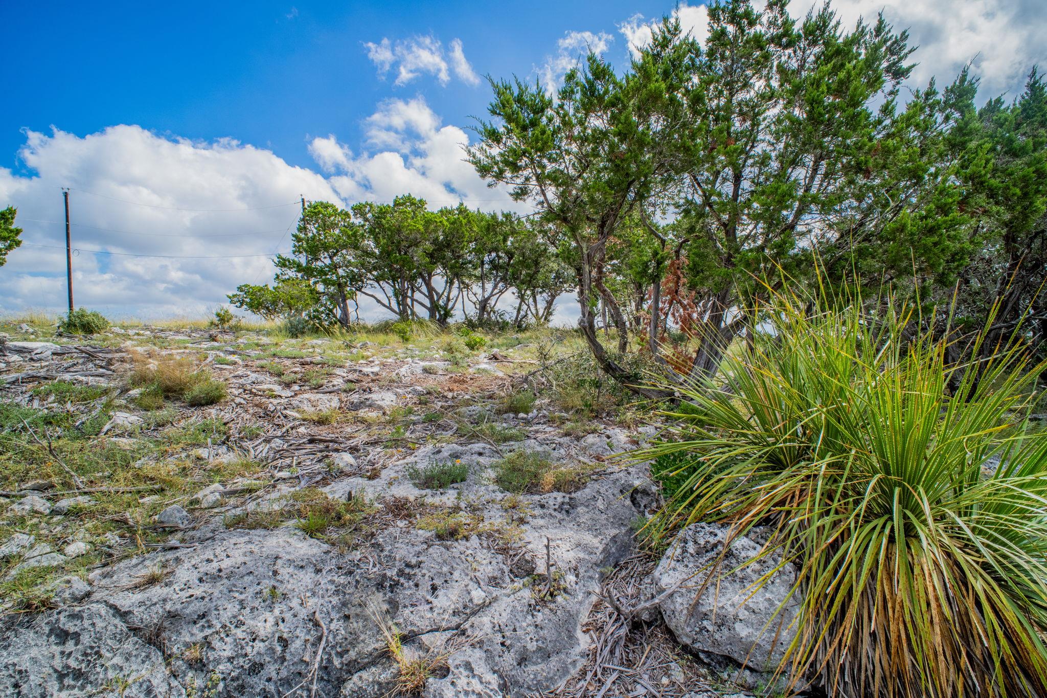 88 Oryx Trl, Pipe Creek, TX 78063