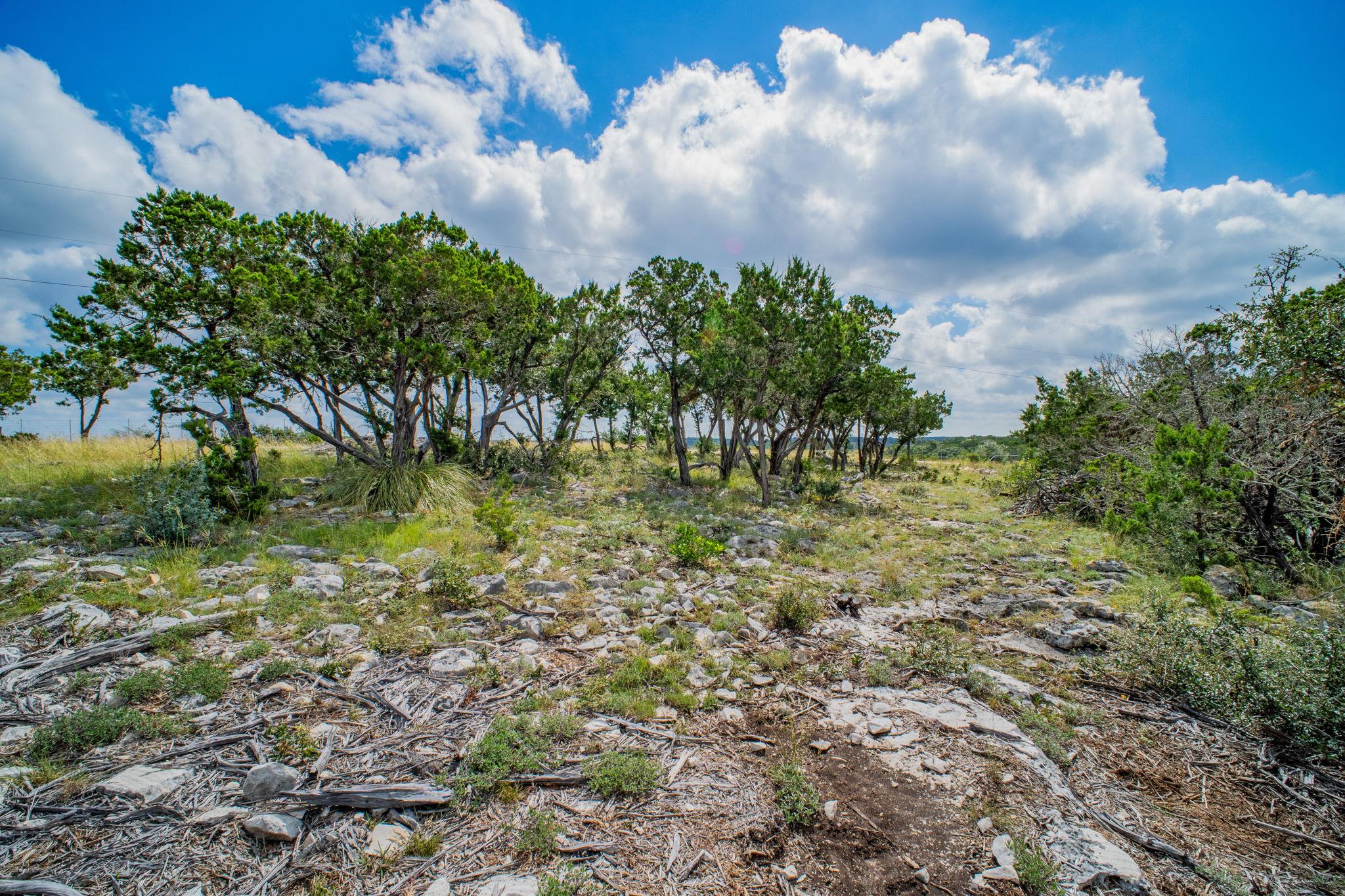 88 Oryx Trl, Pipe Creek, TX 78063