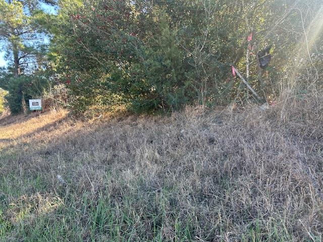 TBD FM 141, Dime Box, TX 77853