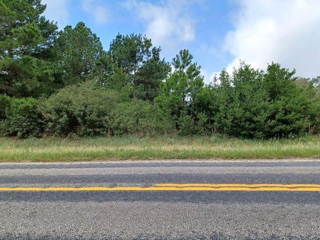 TBD FM 141, Dime Box, TX 77853