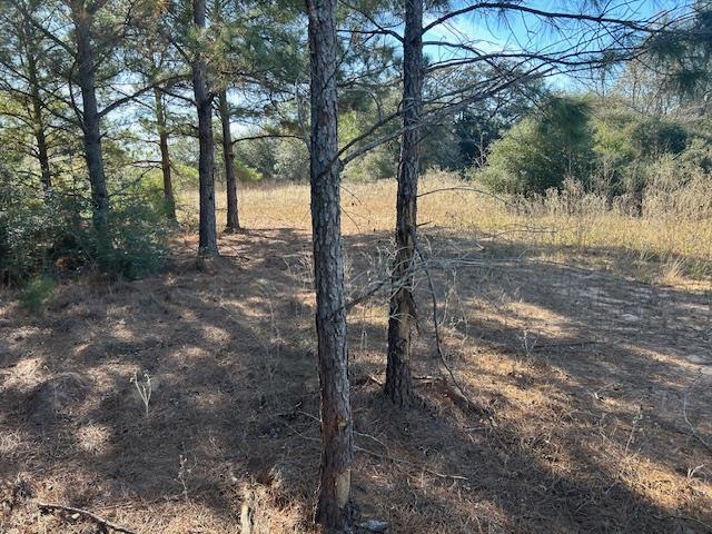 TBD FM 141, Dime Box, TX 77853