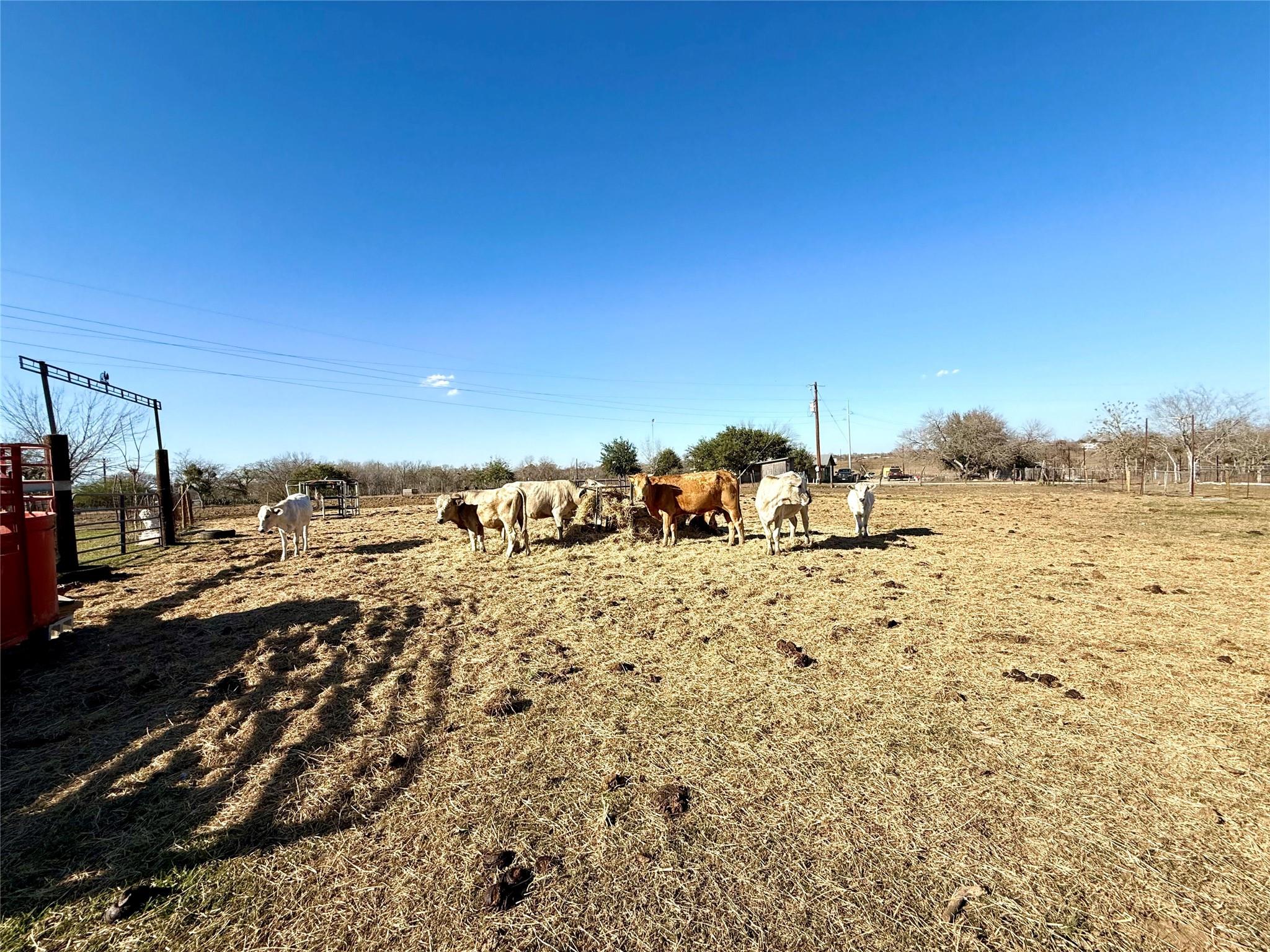 685 Fox Ln, Lockhart, TX 78644