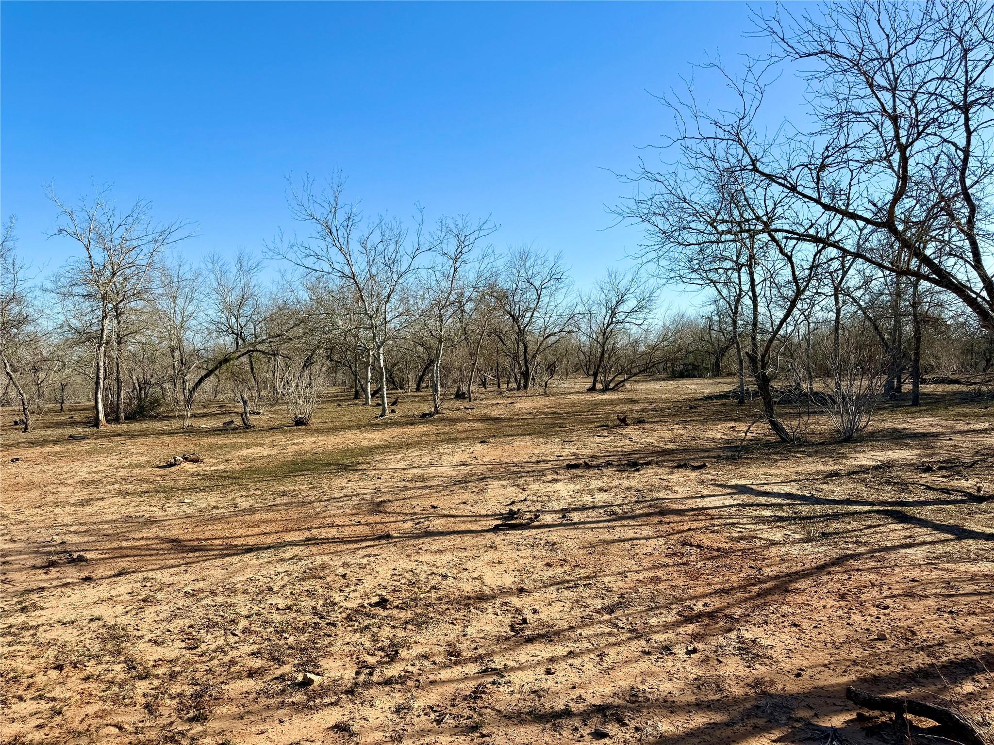 685 Fox Ln, Lockhart, TX 78644