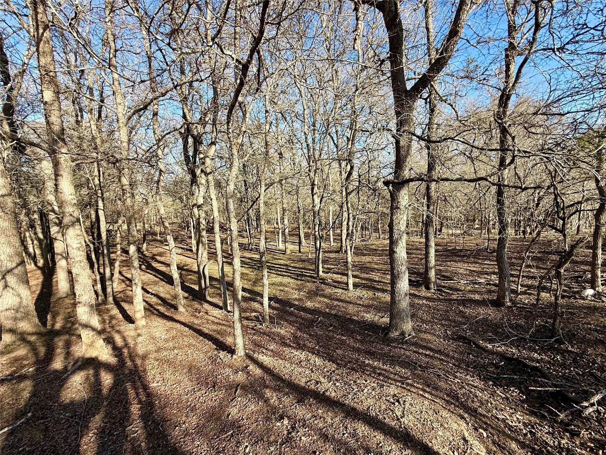 685 Fox Ln, Lockhart, TX 78644