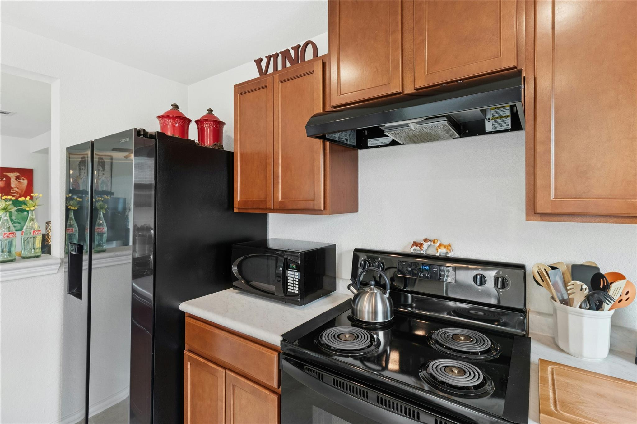 117 Schuylerville Dr, Elgin, TX 78621