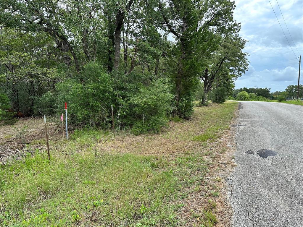 TBD Lot 1 Zapalac Rd, Smithville, TX 78957