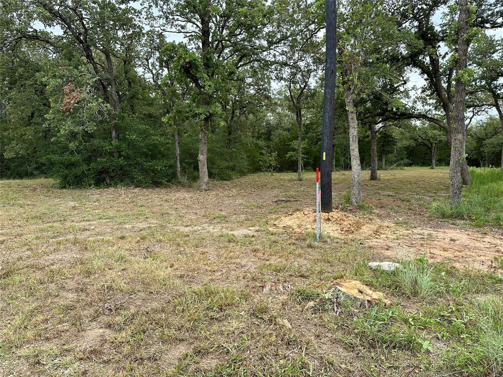 TBD Lot 1 Zapalac Rd, Smithville, TX 78957