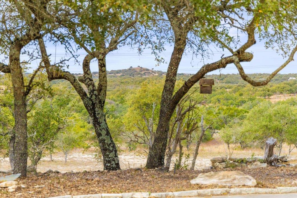 232 Crooked Oak Ln, Round Mountain, TX 78663