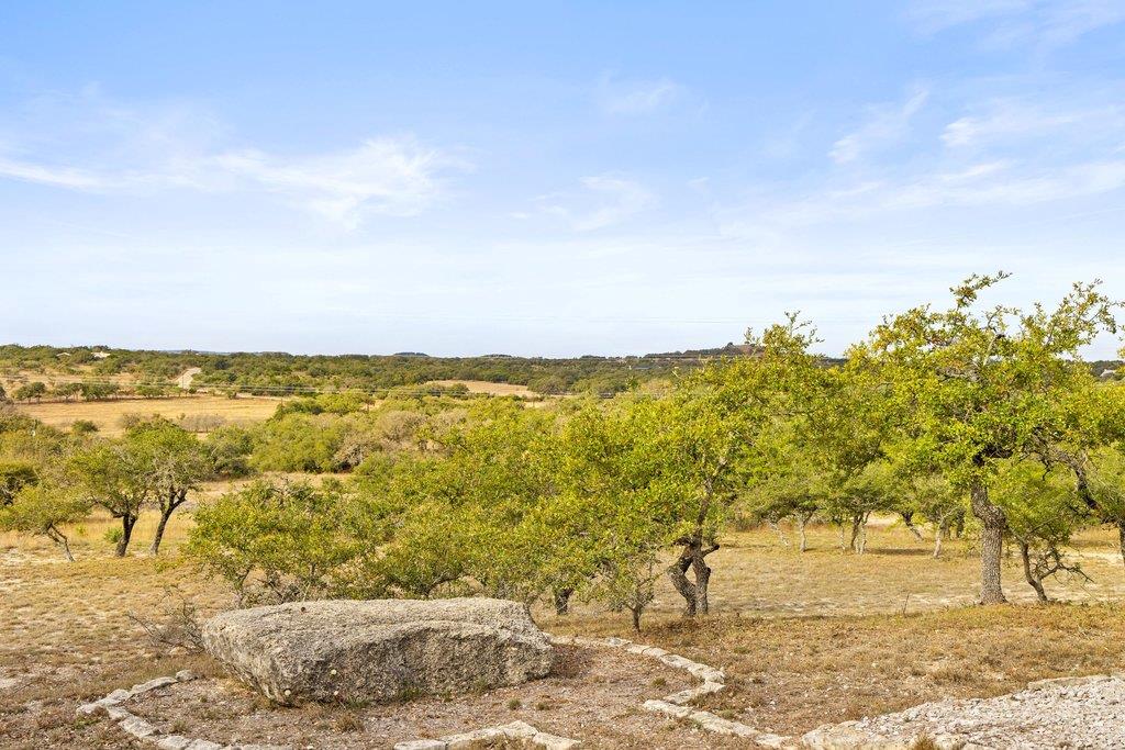 232 Crooked Oak Ln, Round Mountain, TX 78663