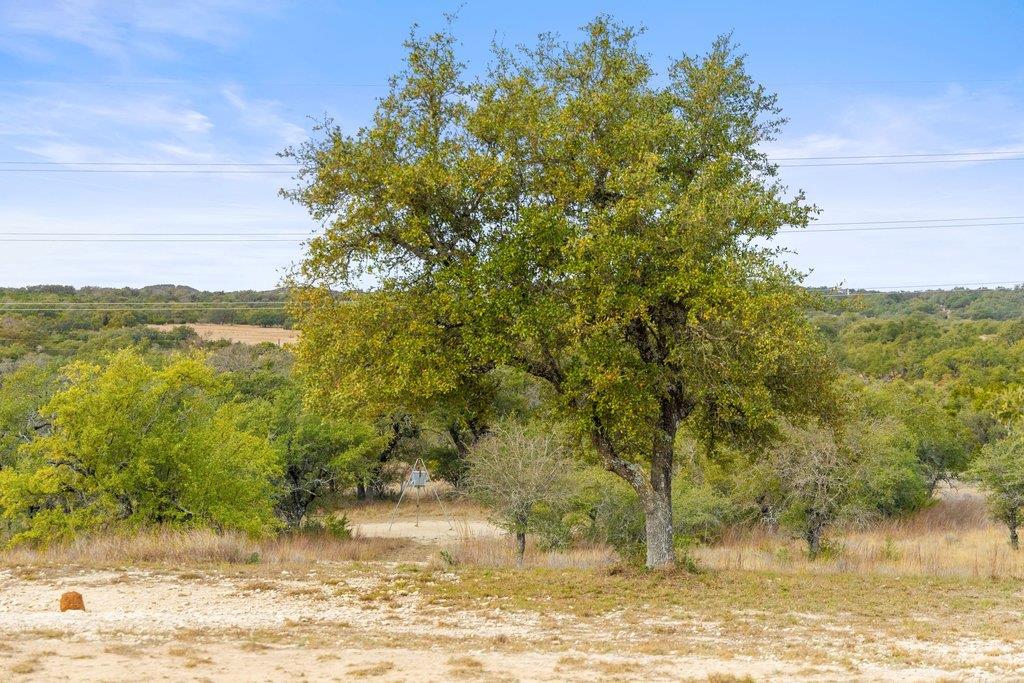 232 Crooked Oak Ln, Round Mountain, TX 78663