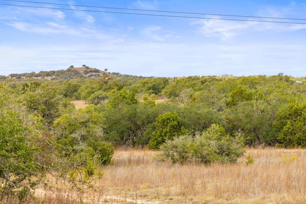 232 Crooked Oak Ln, Round Mountain, TX 78663