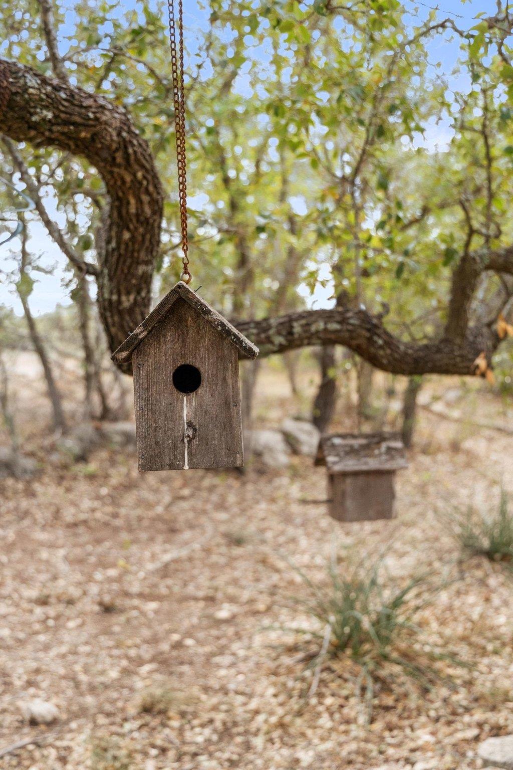 232 Crooked Oak Ln, Round Mountain, TX 78663