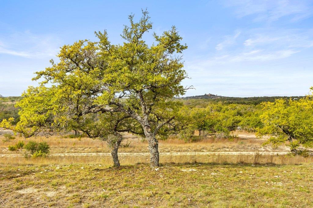 232 Crooked Oak Ln, Round Mountain, TX 78663