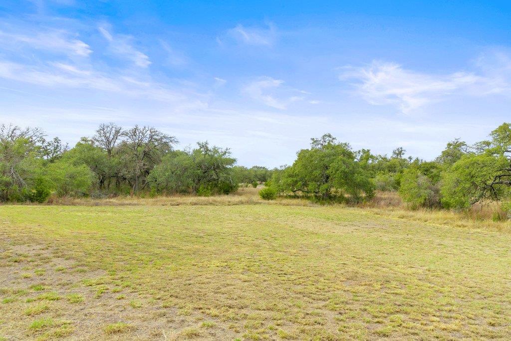 232 Crooked Oak Ln, Round Mountain, TX 78663