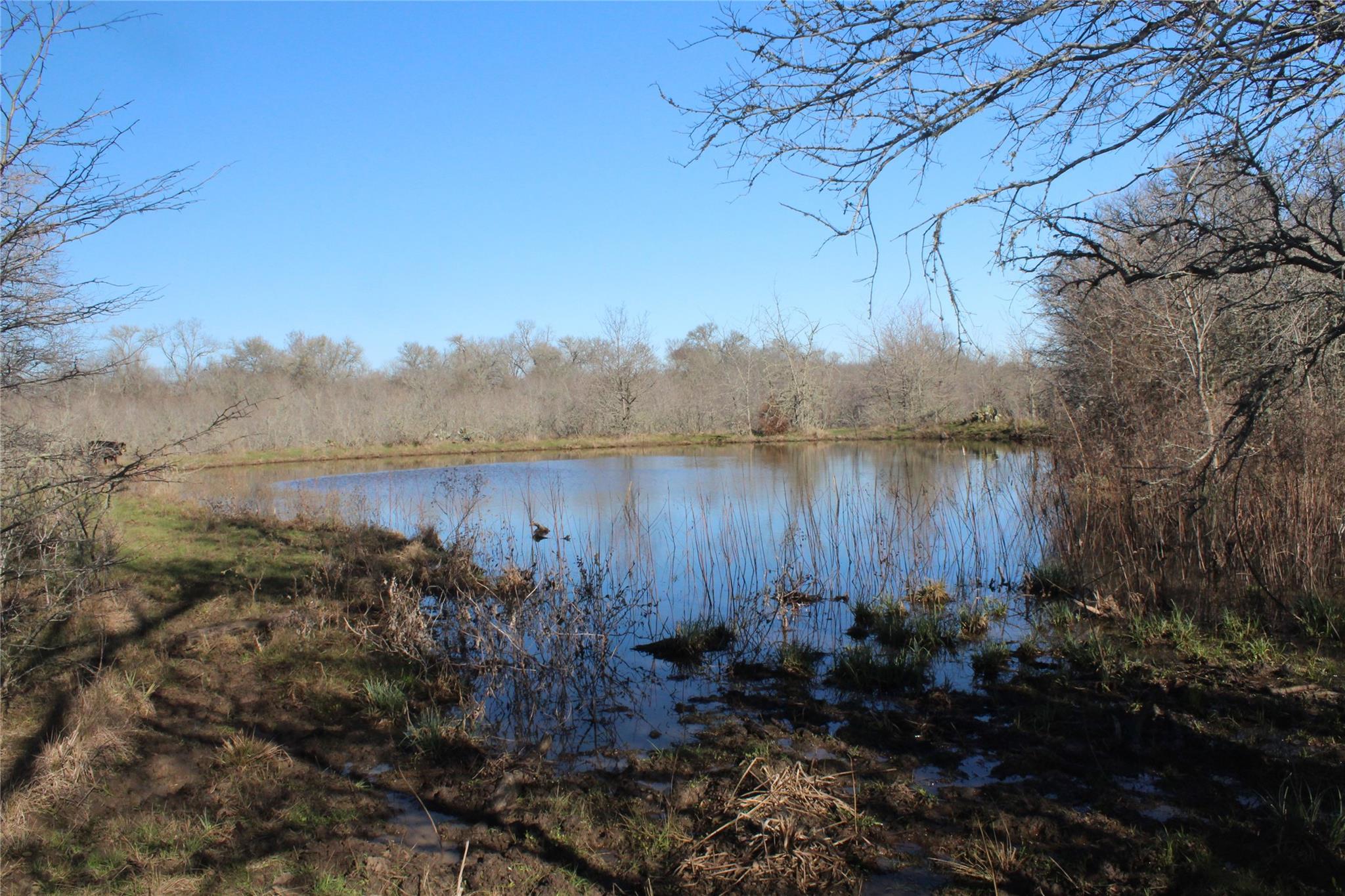 1223 County Road 429, Dime Box, TX 77853