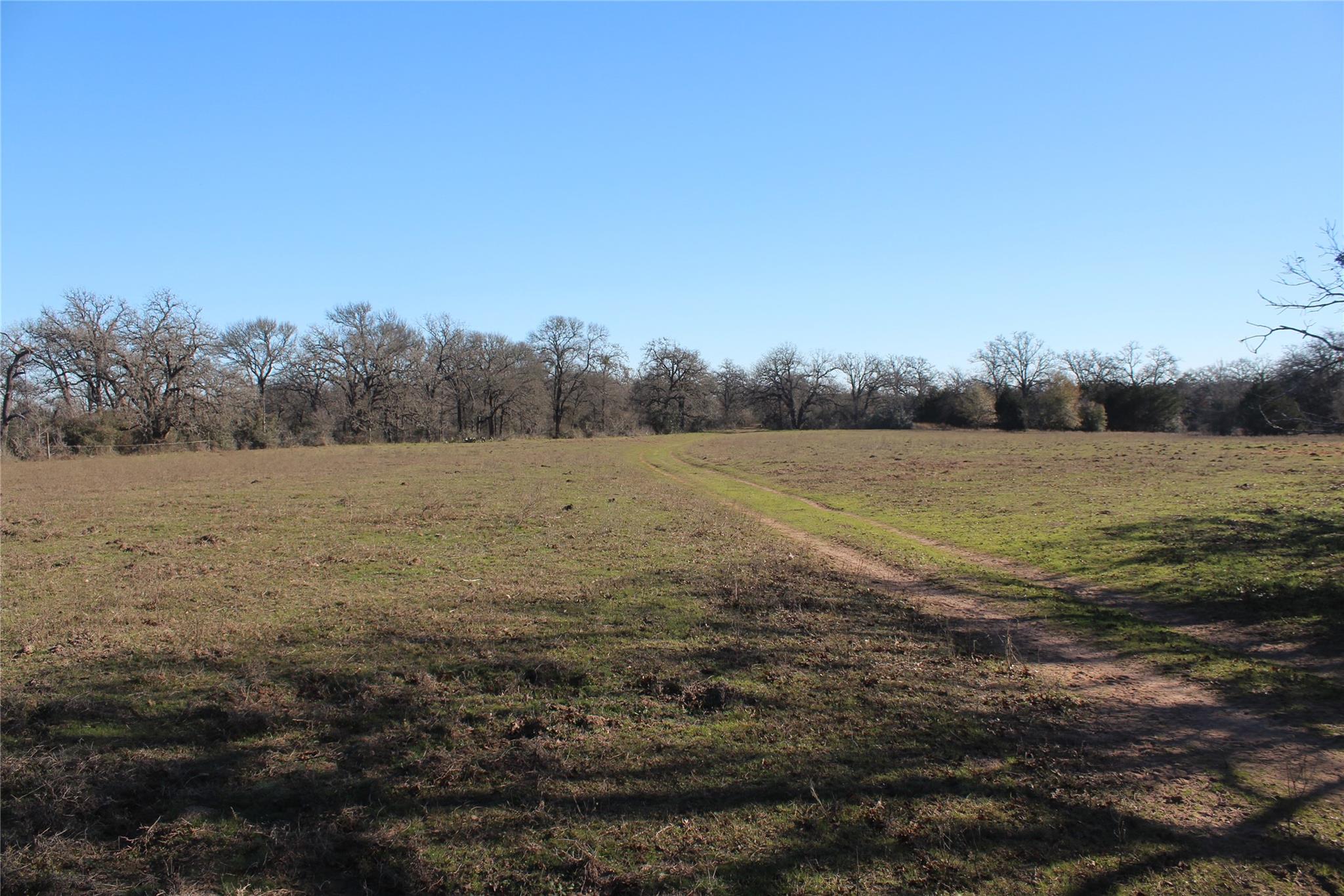 1223 County Road 429, Dime Box, TX 77853