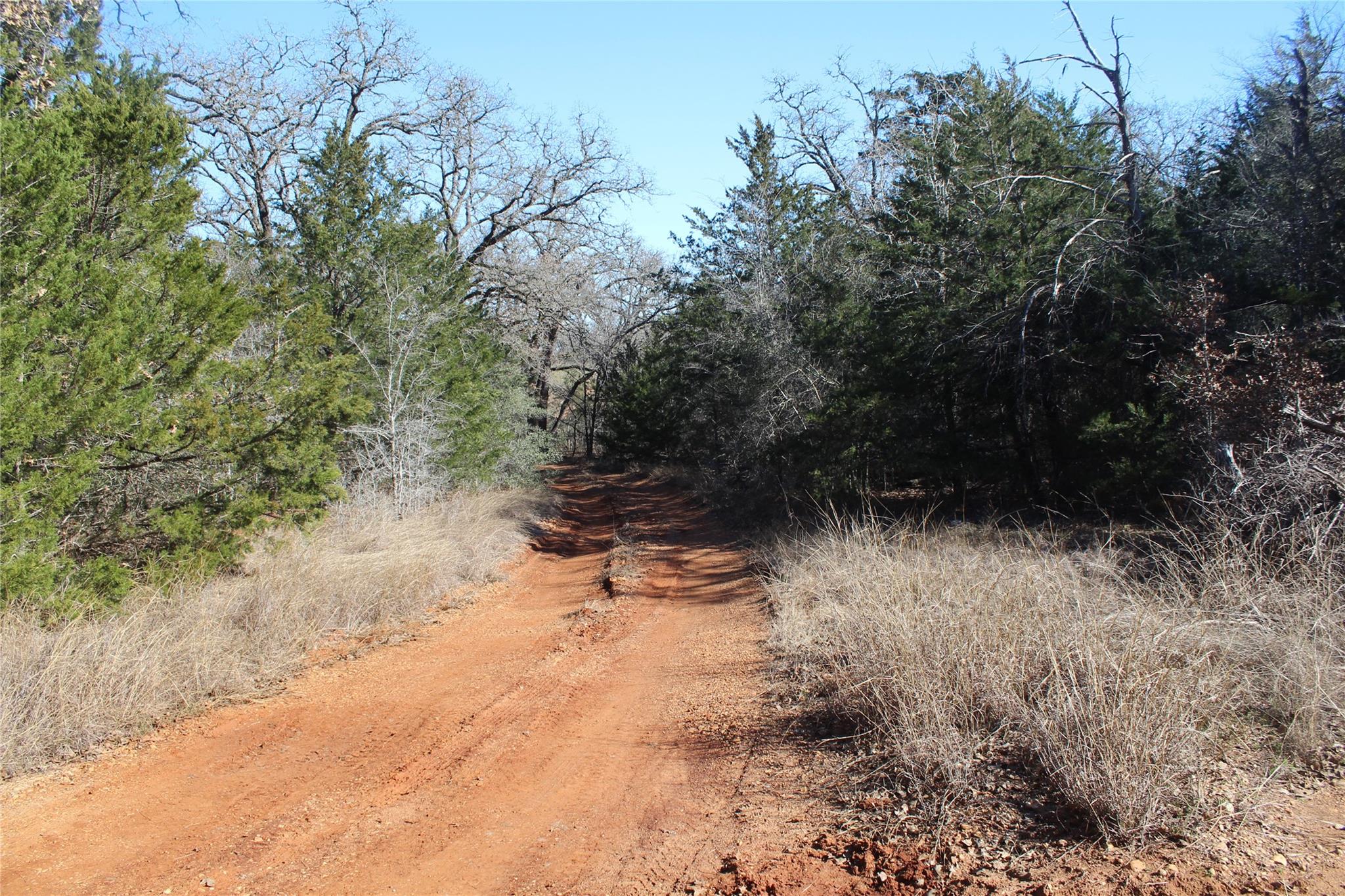 1223 County Road 429, Dime Box, TX 77853