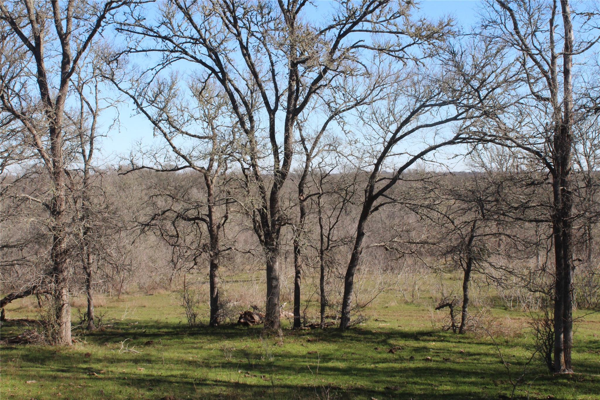 1223 County Road 429, Dime Box, TX 77853