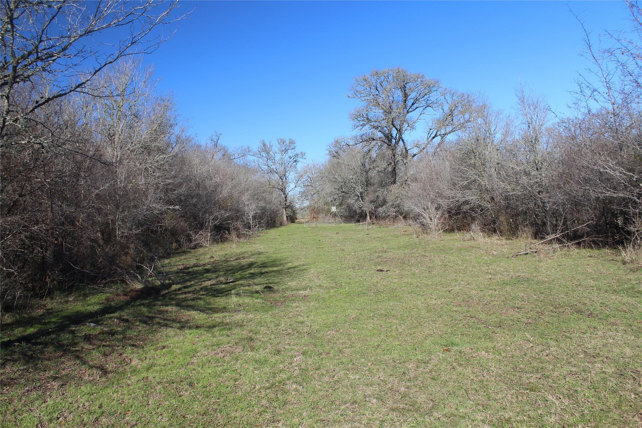 1223 County Road 429, Dime Box, TX 77853