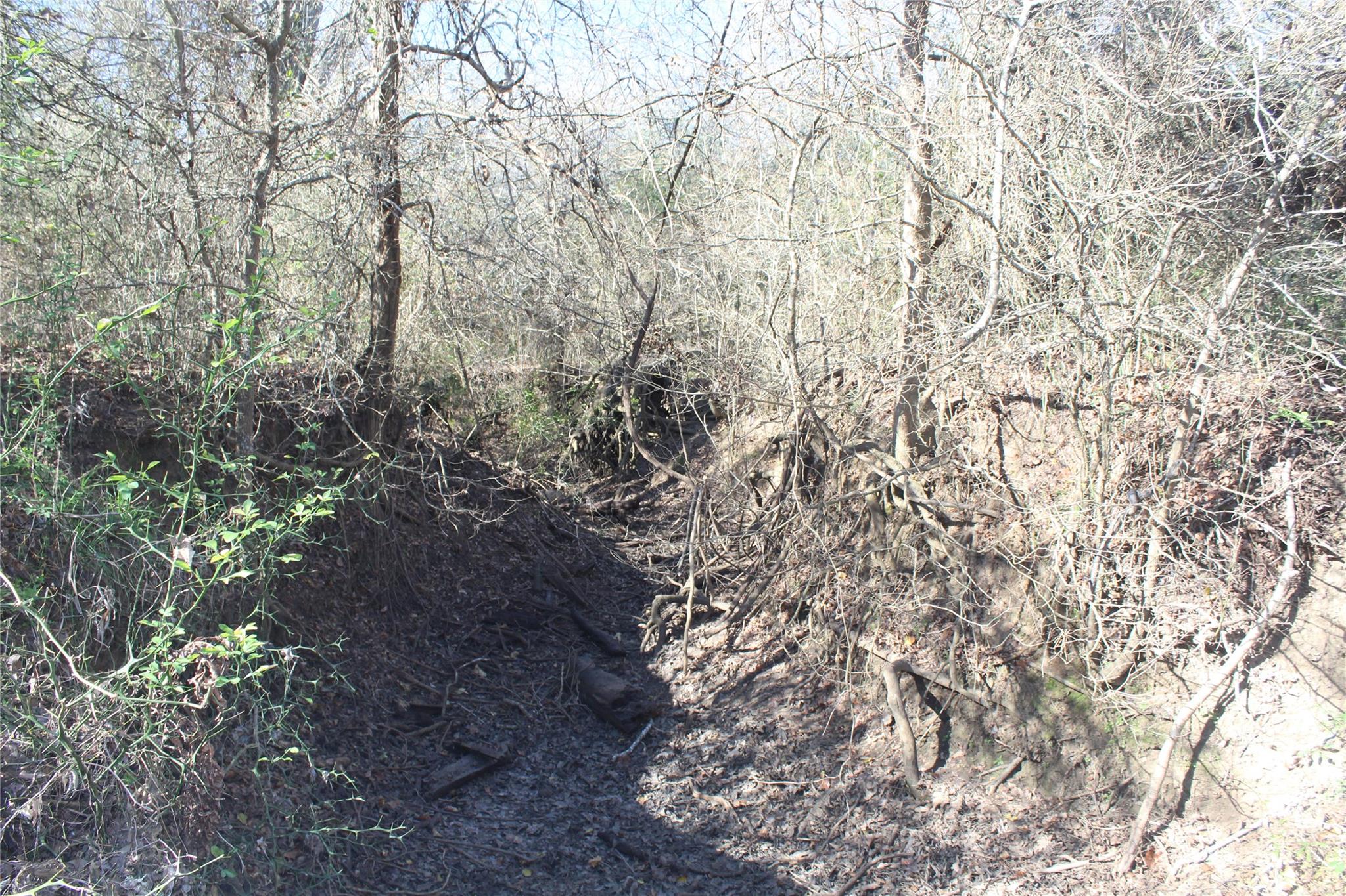 1223 County Road 429, Dime Box, TX 77853