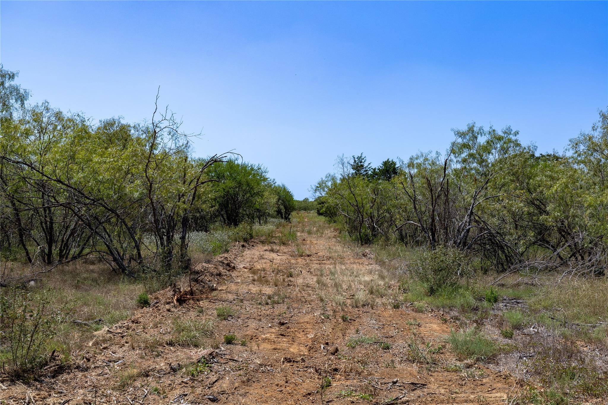 200 Tumbleweed Trl, Dale, TX 78616