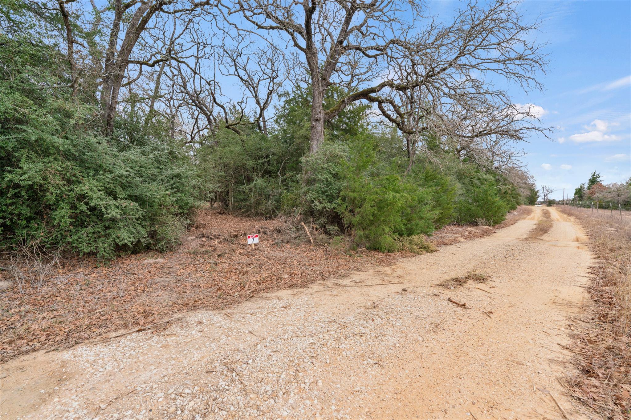 00 CR 326 Lot 7, Rockdale, TX 76567