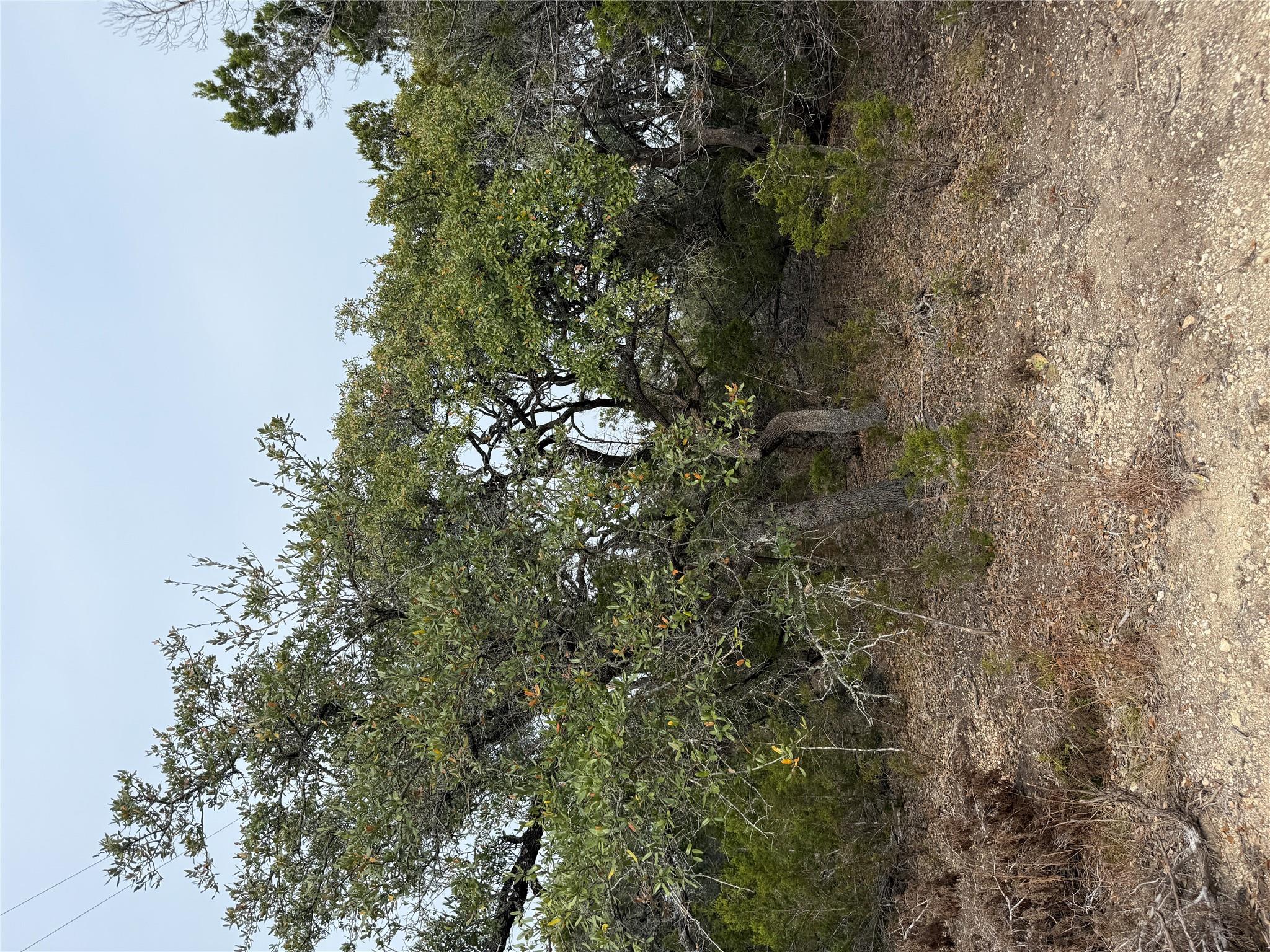 TBD Lot 1 Pump Station Rd, Wimberley, TX 78676