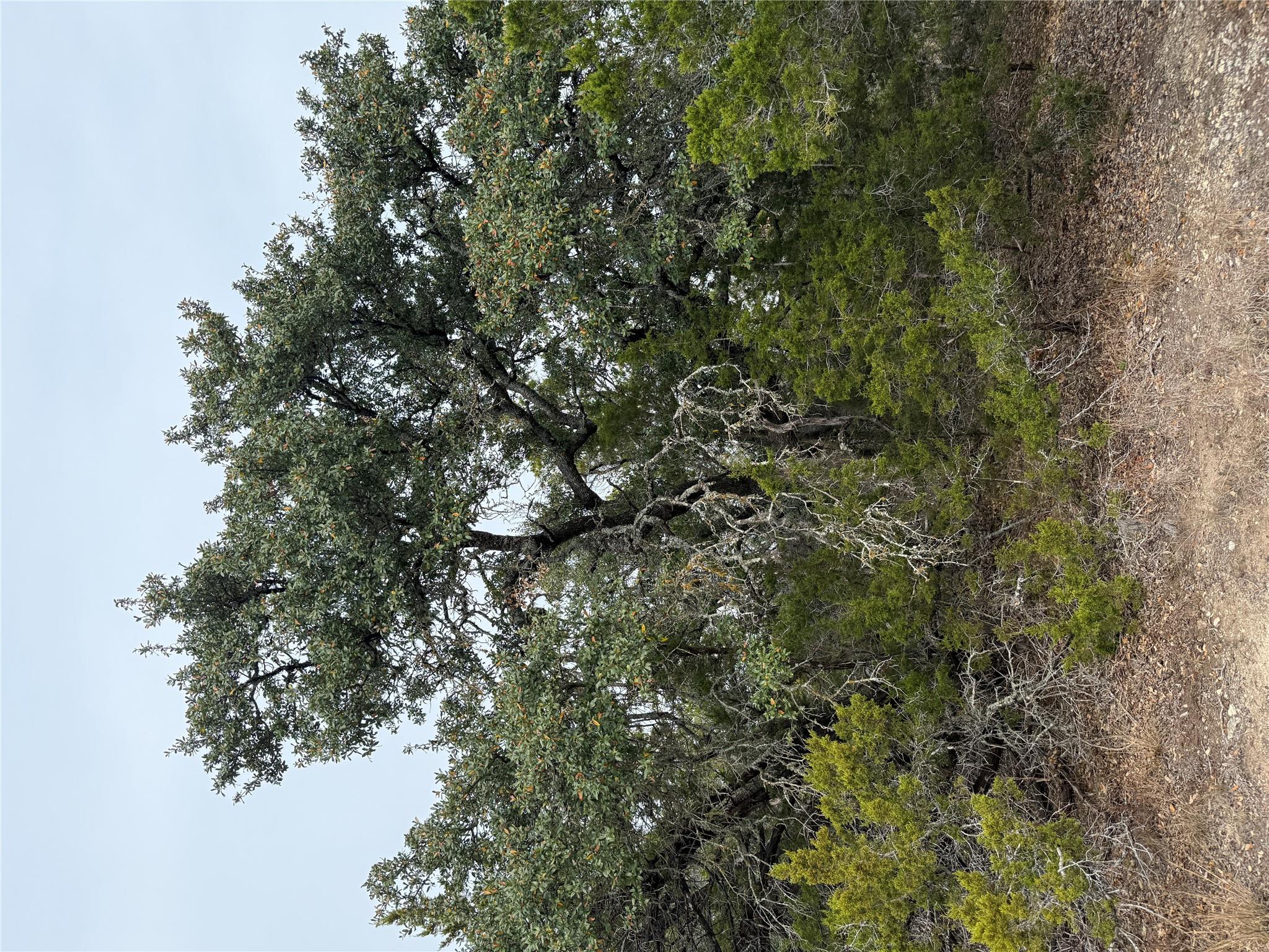 TBD Lot 1 Pump Station Rd, Wimberley, TX 78676