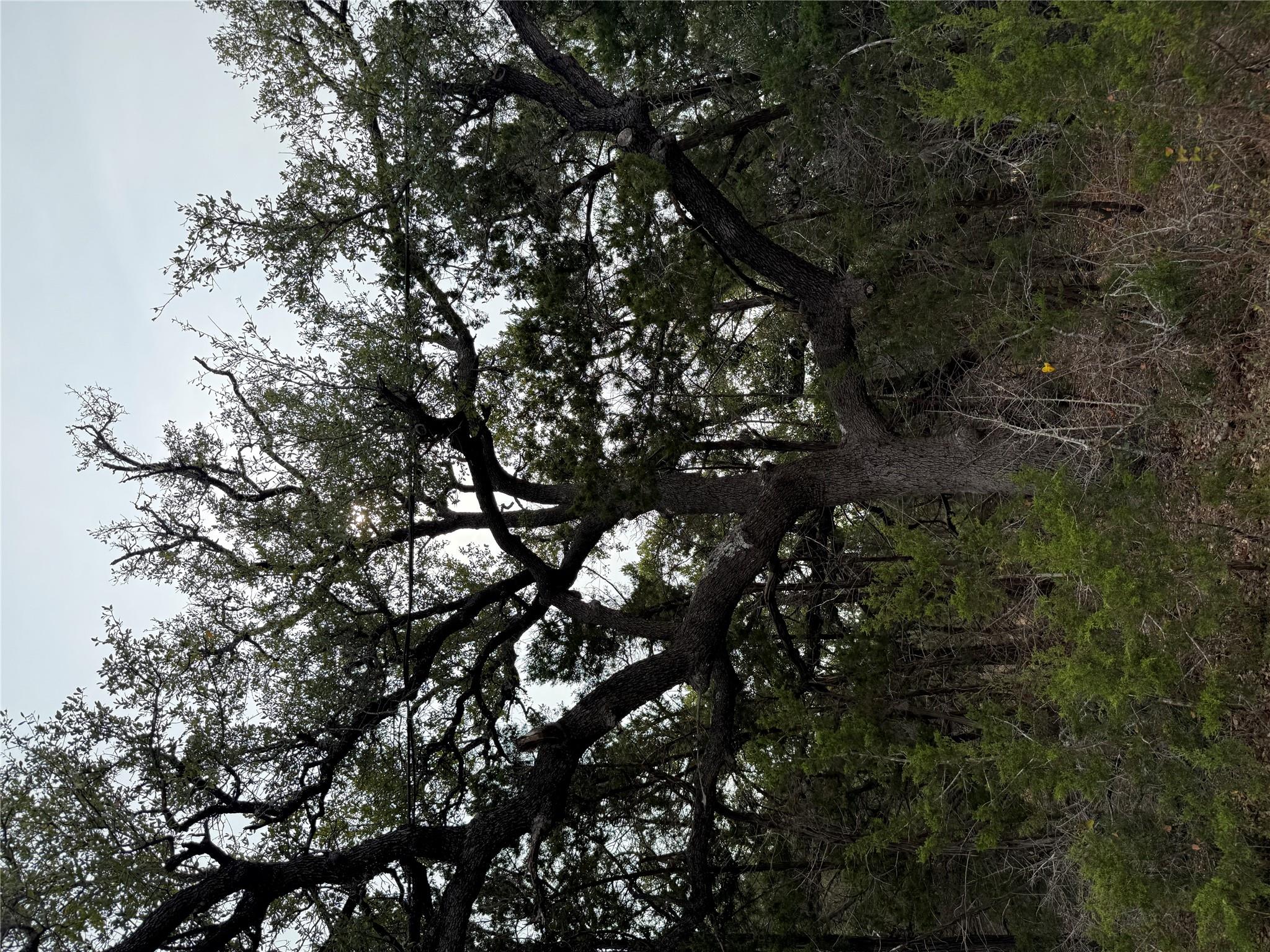 TBD Lot 1 Pump Station Rd, Wimberley, TX 78676