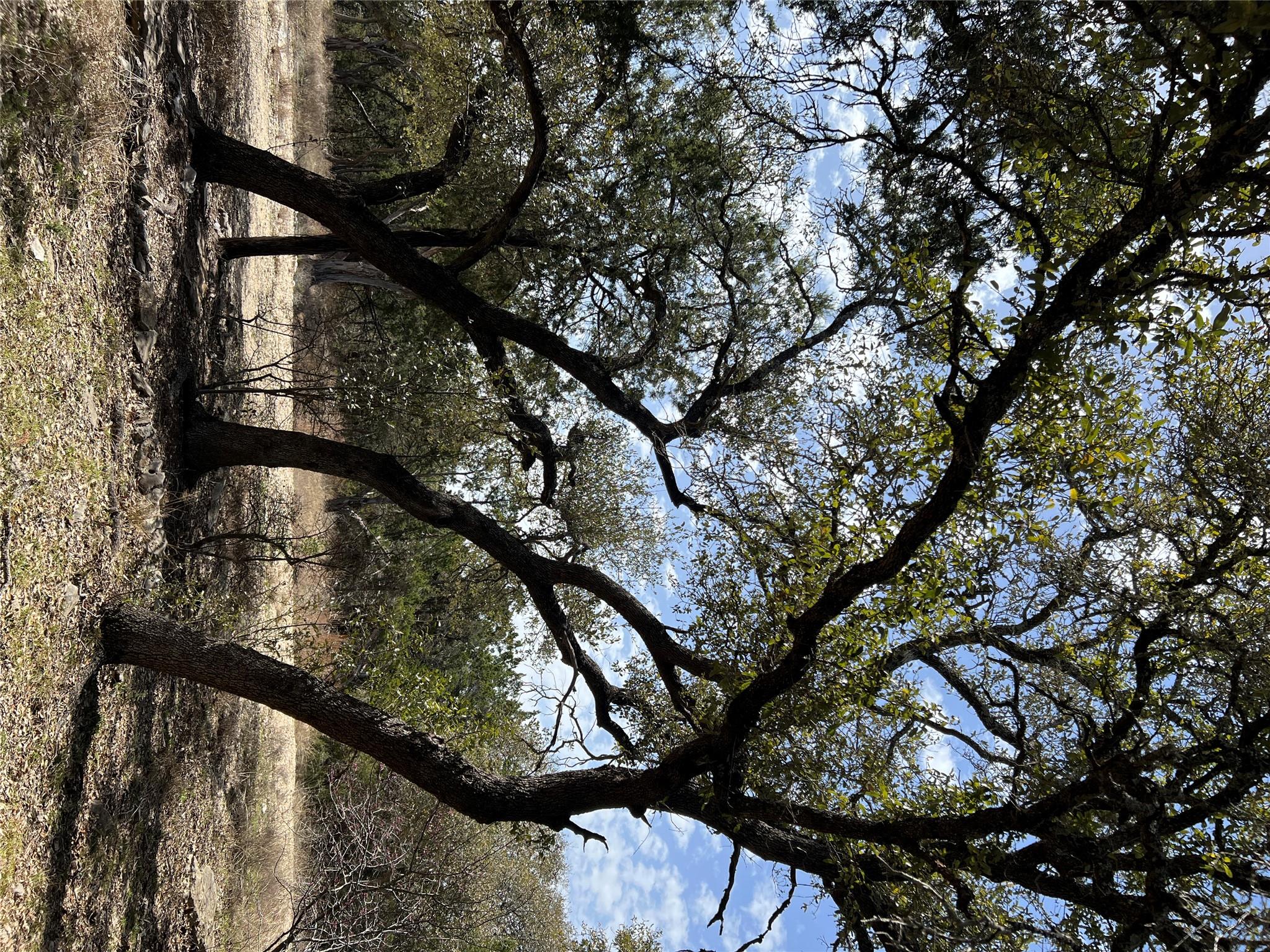 1425 Longhorn Trl Rd, Wimberley, TX 78676