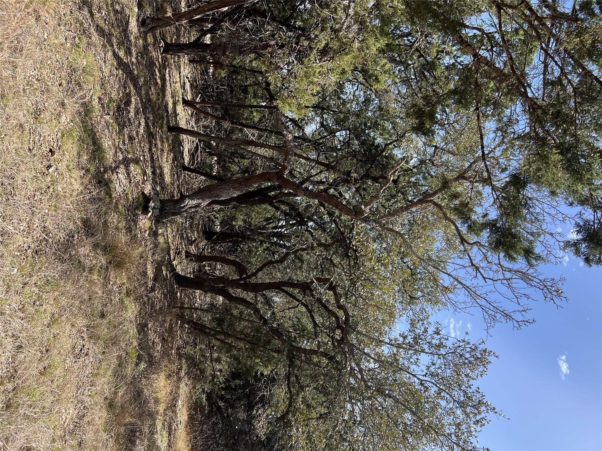 1425 Longhorn Trl Rd, Wimberley, TX 78676