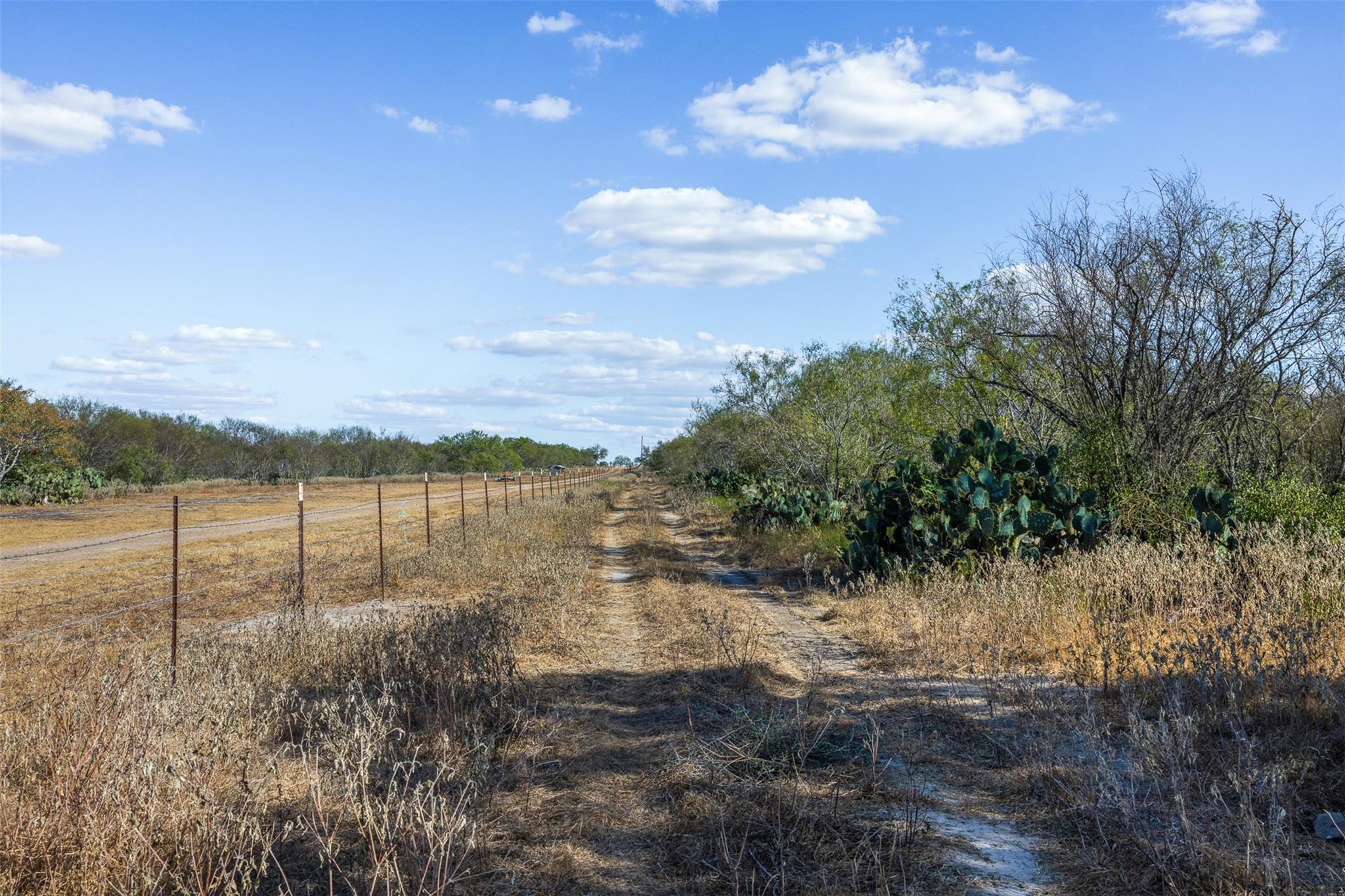 Lot 4 County Road 211, Smiley, TX 78159