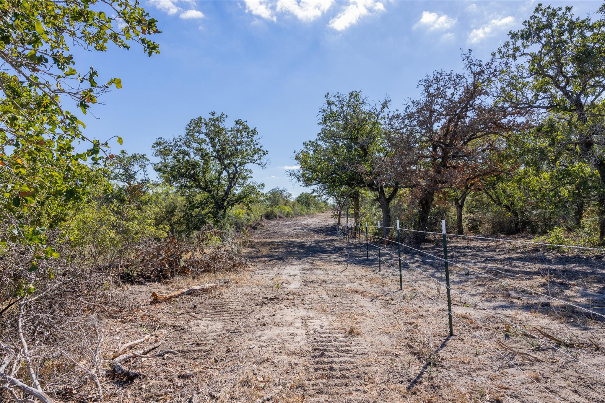 Lot 4 County Road 211, Smiley, TX 78159