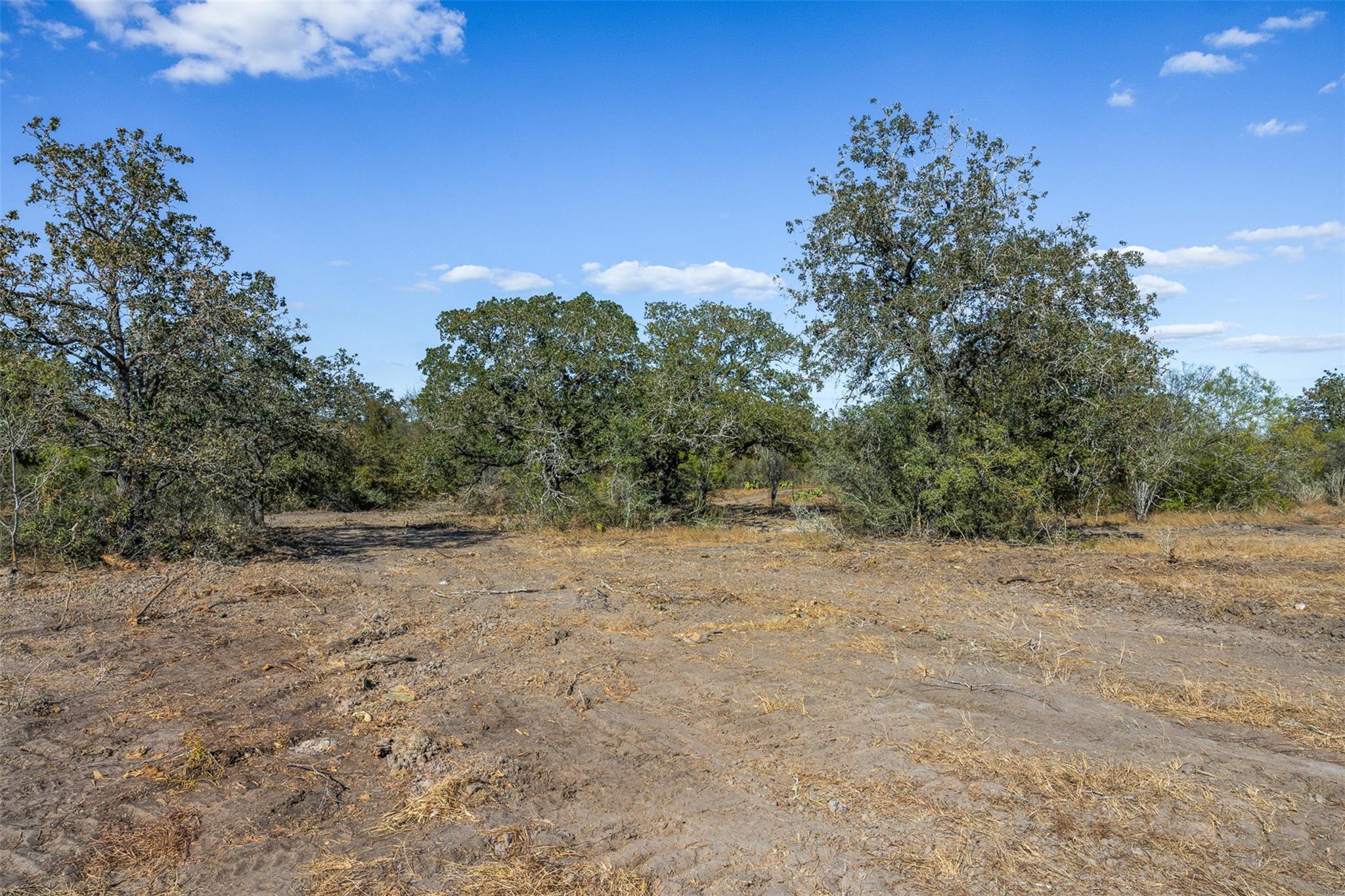 Lot 4 County Road 211, Smiley, TX 78159