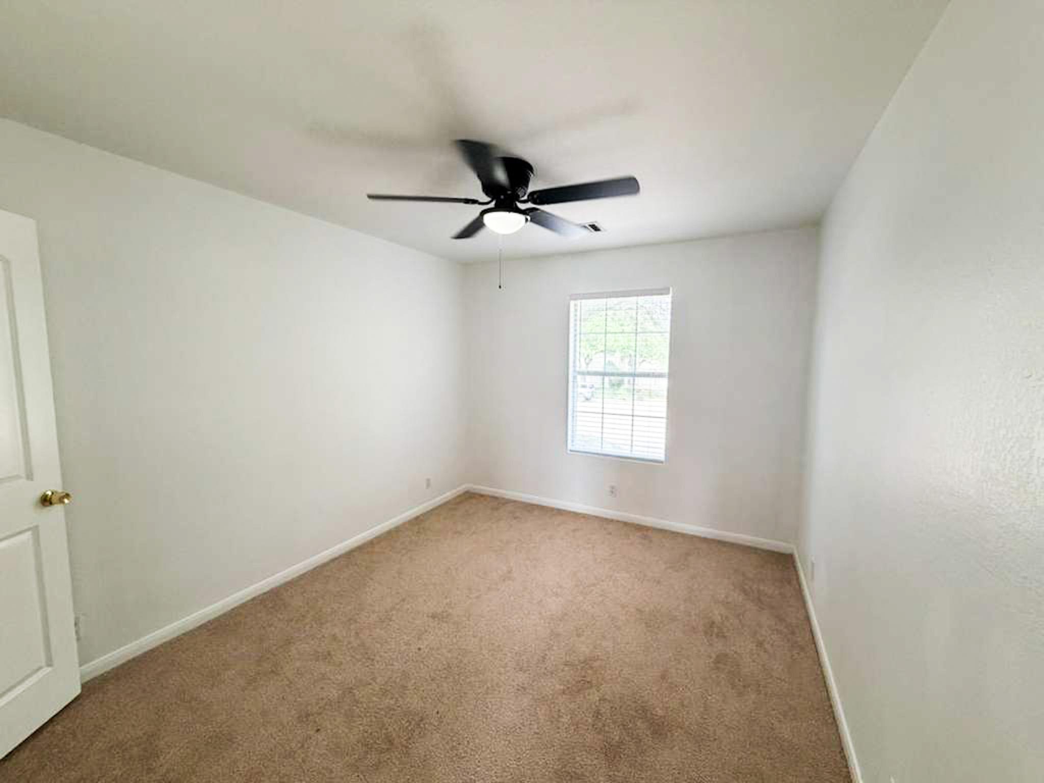 1623 War Horse Ln, Round Rock, TX 78664