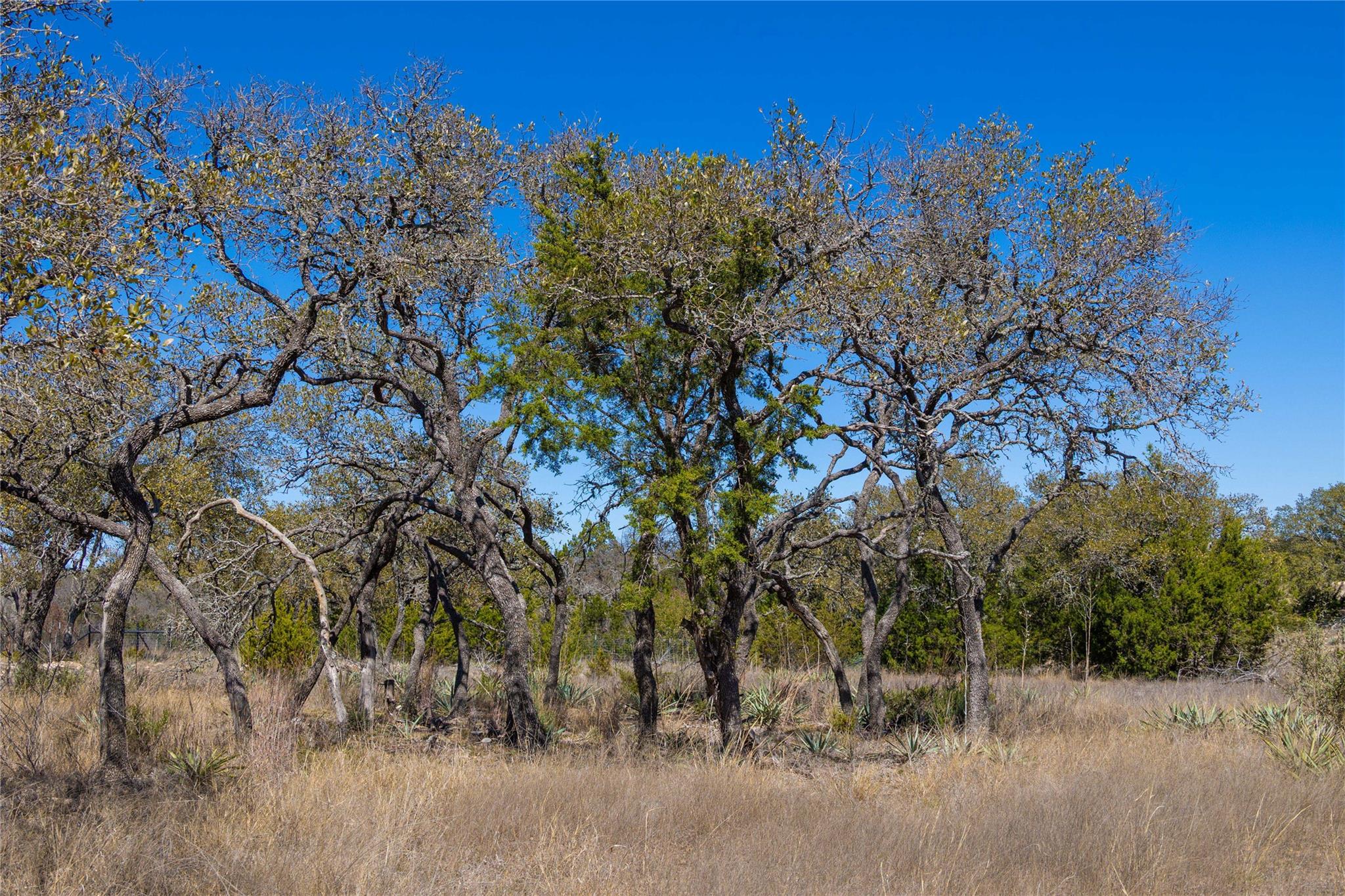 443 S Fm 3023 S, Goldthwaite, TX 76844