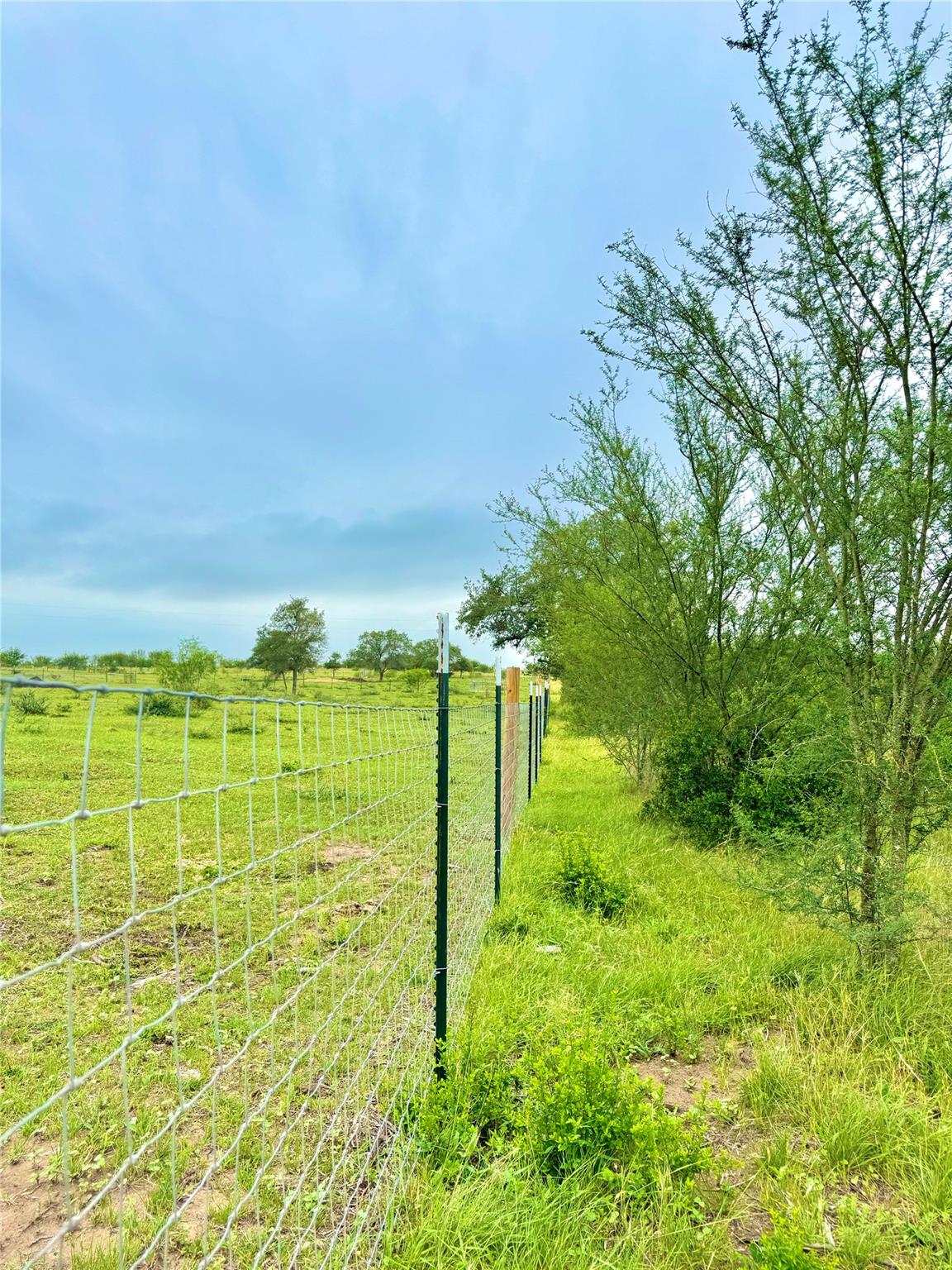 TBD Tract Q FM 108, Smiley, TX 78159