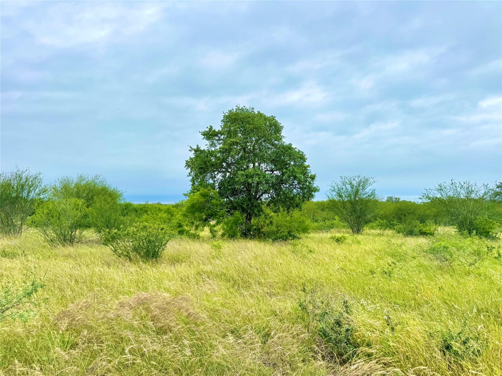 TBD Tract Q FM 108, Smiley, TX 78159