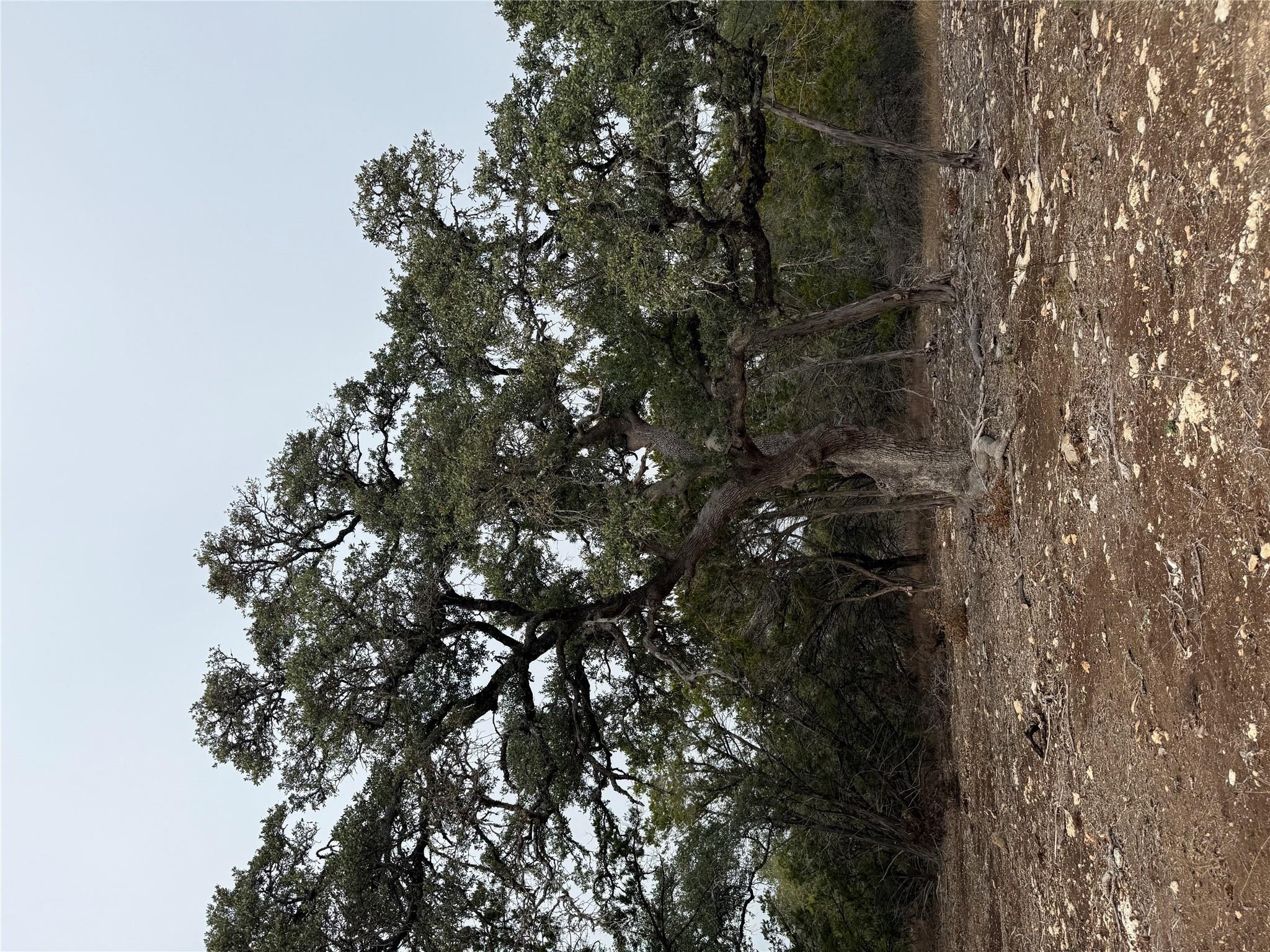 Tract 2 Pump Station Rd, Wimberley, TX 78676