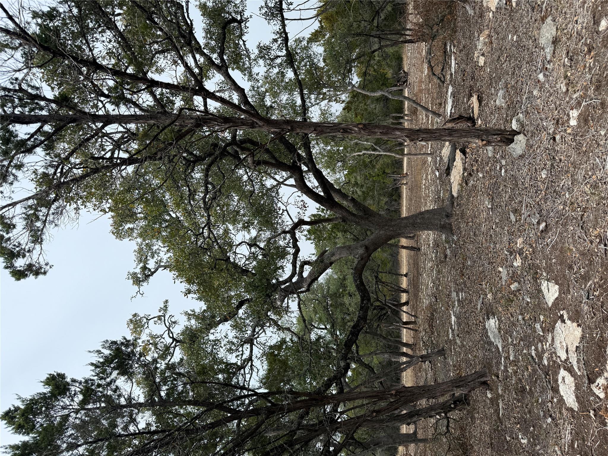 Tract 2 Pump Station Rd, Wimberley, TX 78676