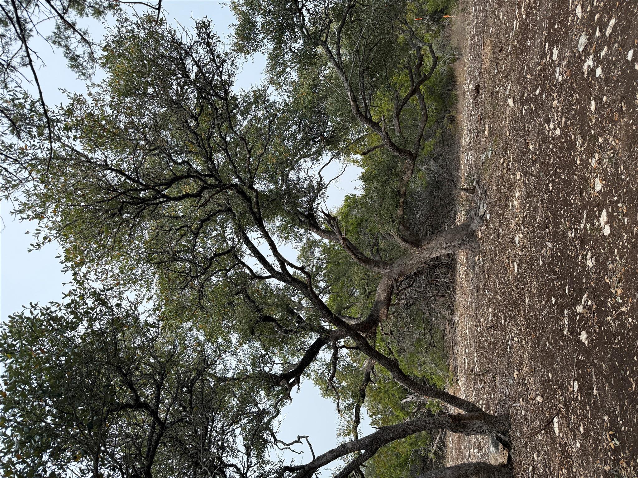 Tract 2 Pump Station Rd, Wimberley, TX 78676