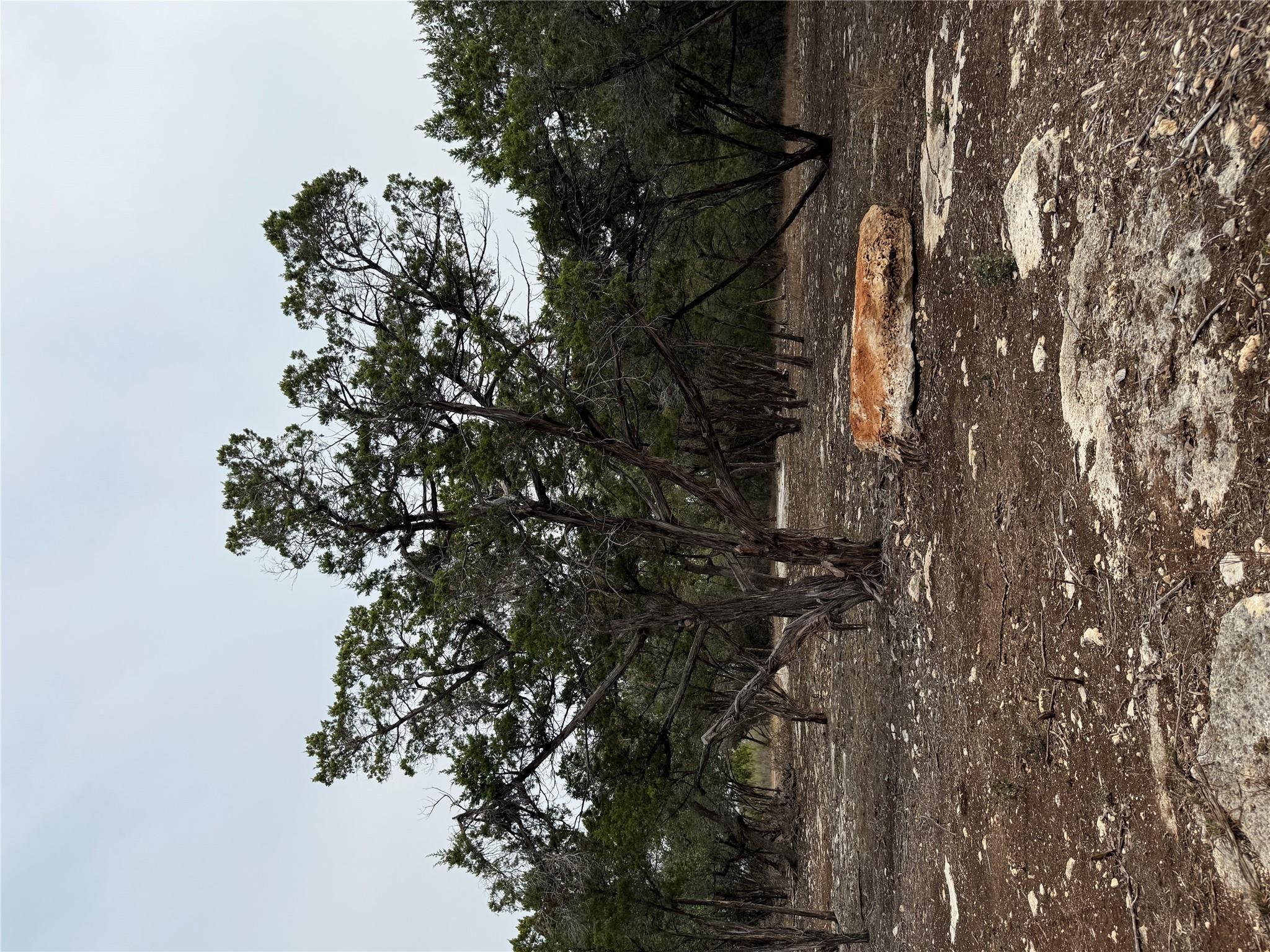 Tract 2 Pump Station Rd, Wimberley, TX 78676