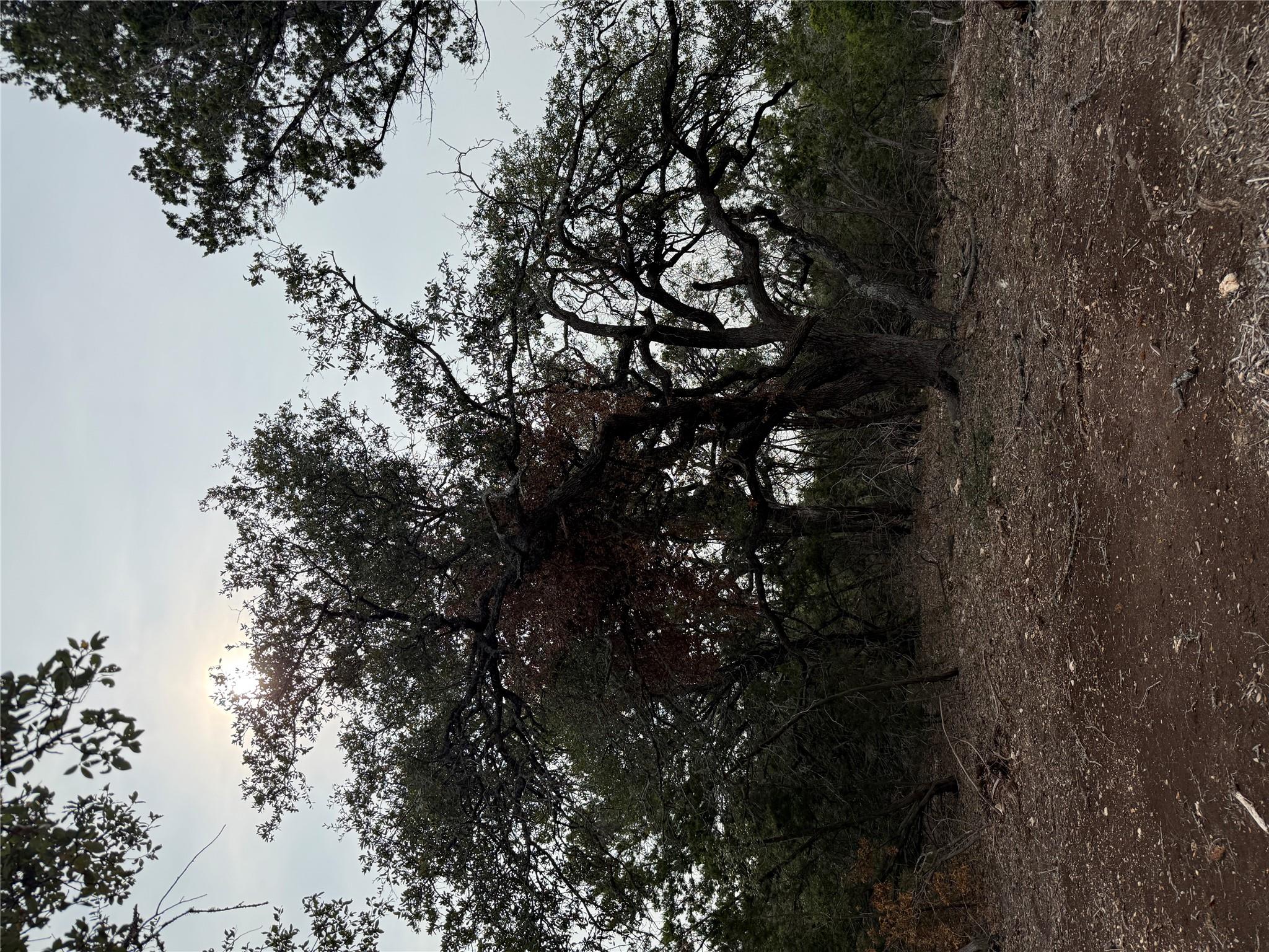 Tract 2 Pump Station Rd, Wimberley, TX 78676