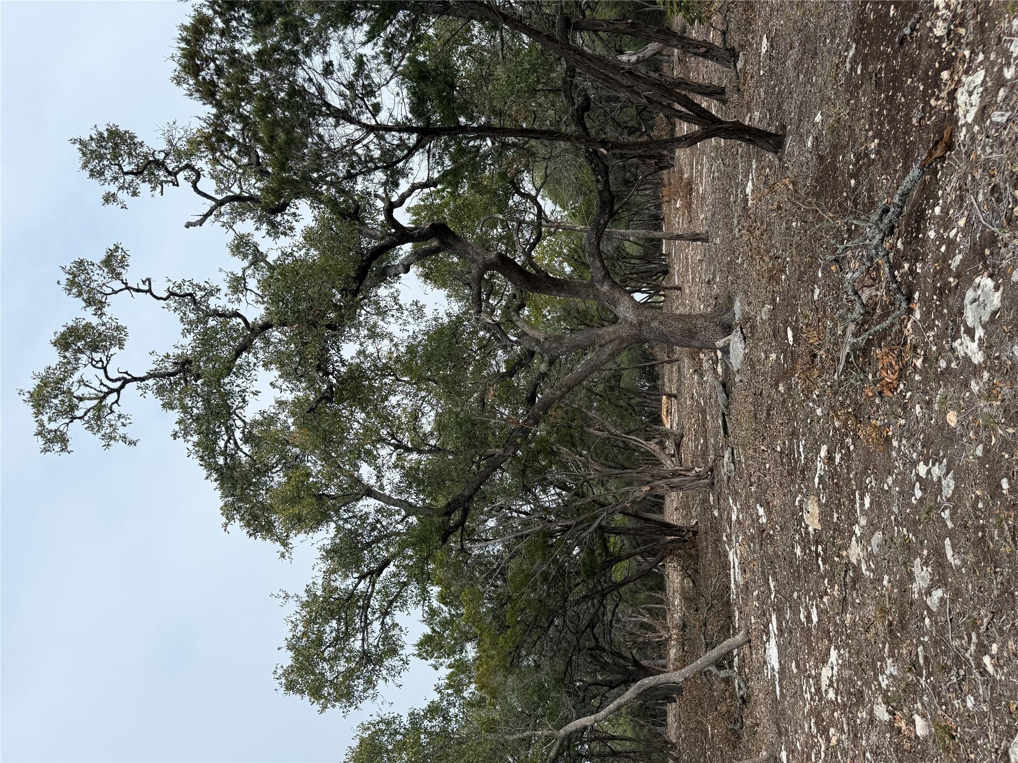 Tract 2 Pump Station Rd, Wimberley, TX 78676