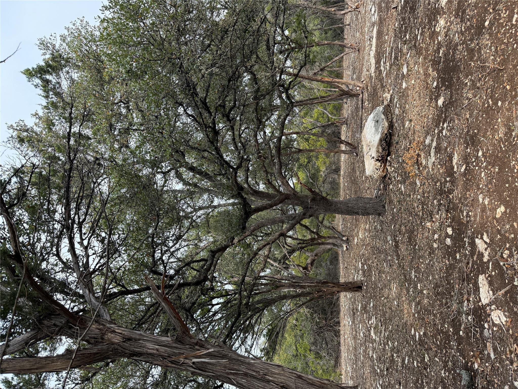 Tract 2 Pump Station Rd, Wimberley, TX 78676