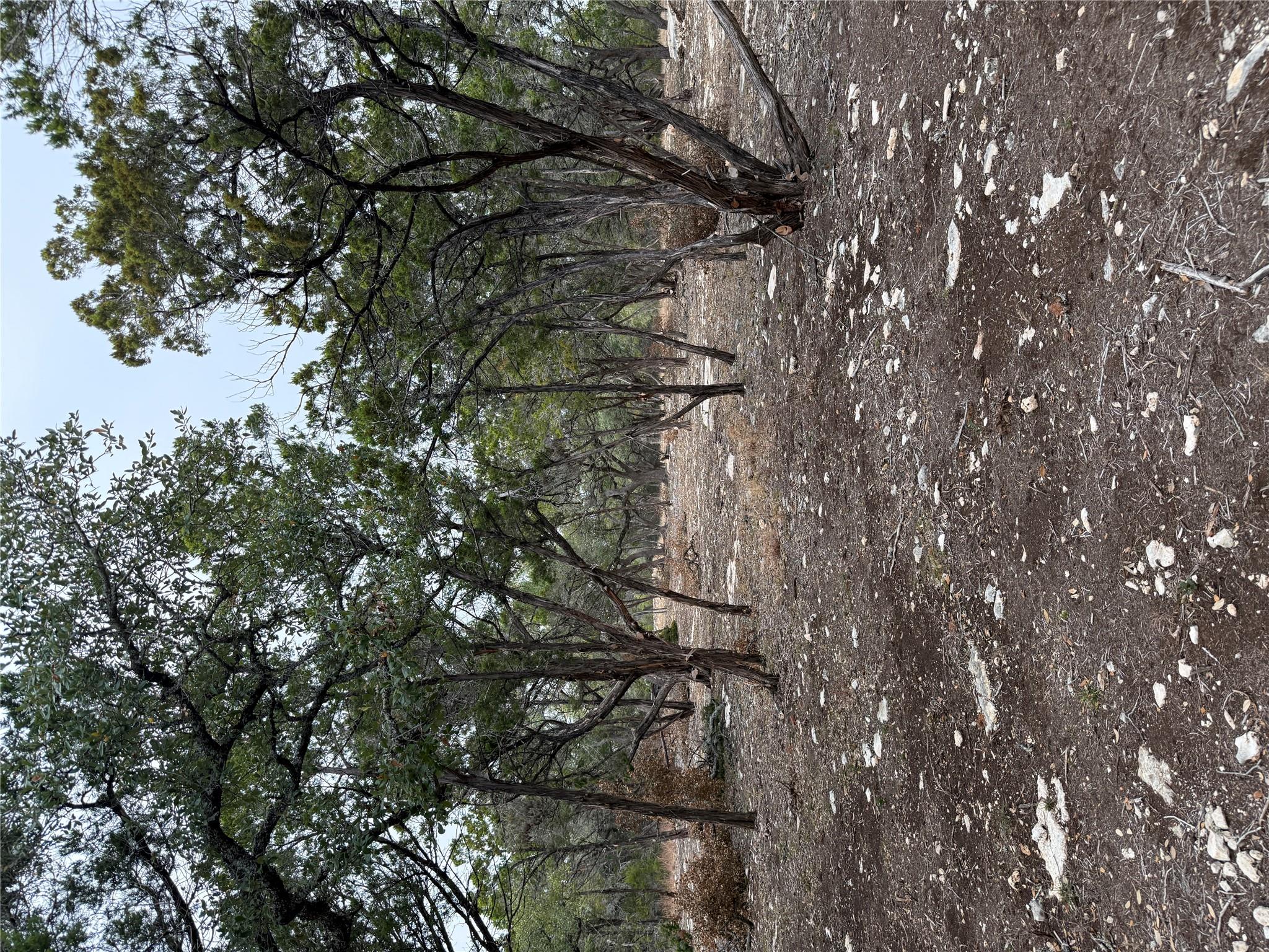 Tract 2 Pump Station Rd, Wimberley, TX 78676