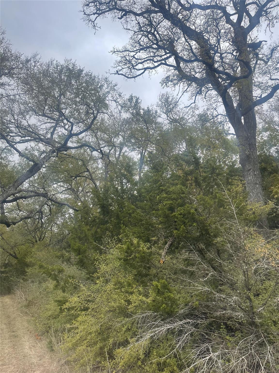 2171 - 2151 Onion Creek Bnd, Driftwood, TX 78619