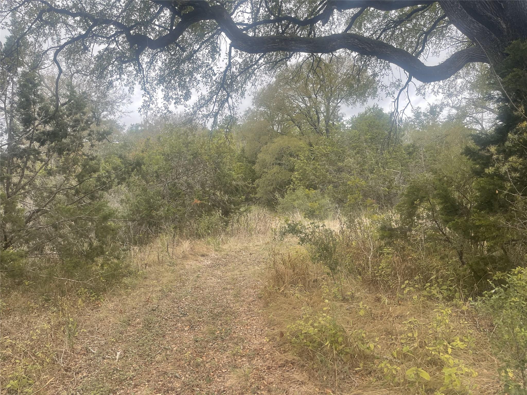 2171 - 2151 Onion Creek Bnd, Driftwood, TX 78619